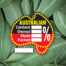 indigenous logo